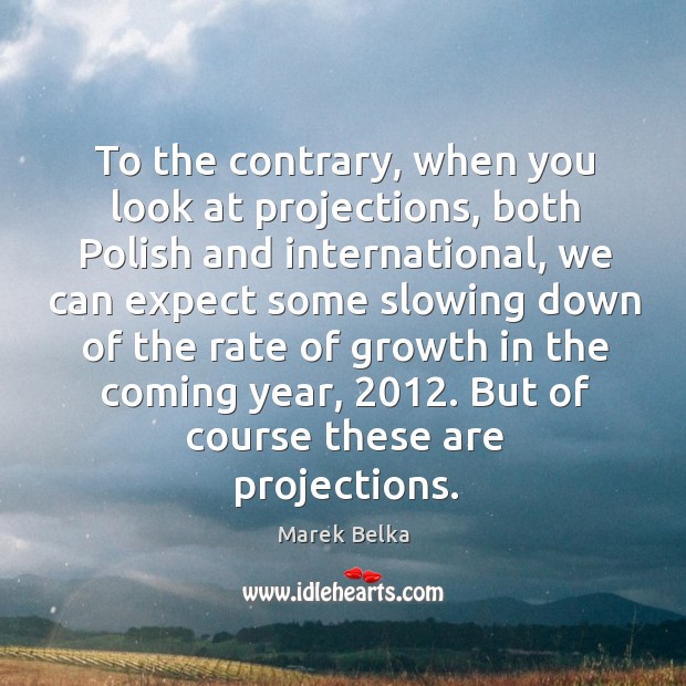 To the contrary, when you look at projections, both polish and international Marek Belka Picture Quote