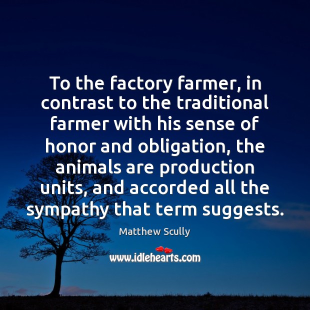 To the factory farmer, in contrast to the traditional farmer with his Matthew Scully Picture Quote
