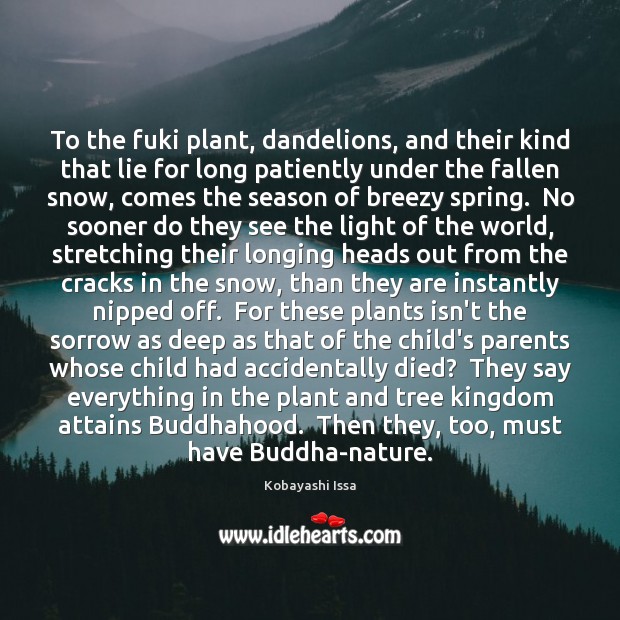 To the fuki plant, dandelions, and their kind that lie for long Kobayashi Issa Picture Quote