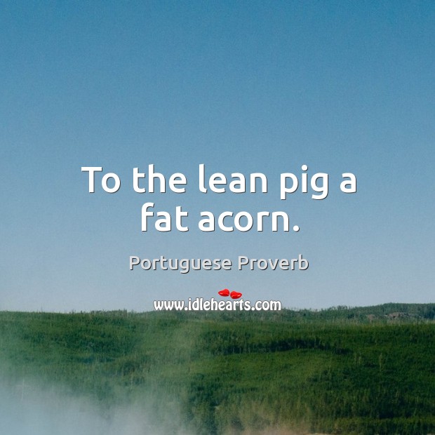 To the lean pig a fat acorn. Portuguese Proverbs Image