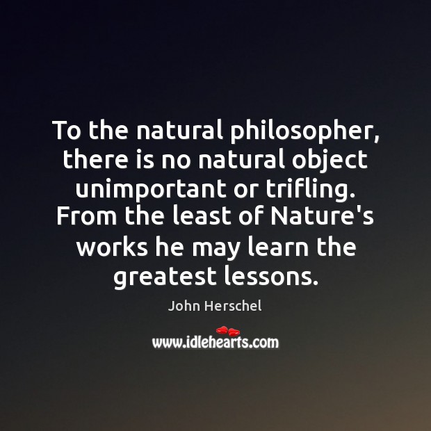 To the natural philosopher, there is no natural object unimportant or trifling. John Herschel Picture Quote