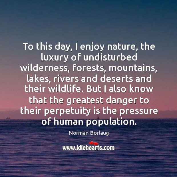 To this day, I enjoy nature, the luxury of undisturbed wilderness, forests, Norman Borlaug Picture Quote