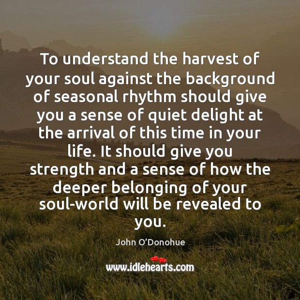 To understand the harvest of your soul against the background of seasonal John O’Donohue Picture Quote