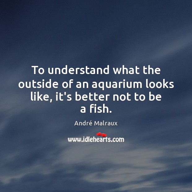 To understand what the outside of an aquarium looks like, it’s better not to be a fish. André Malraux Picture Quote