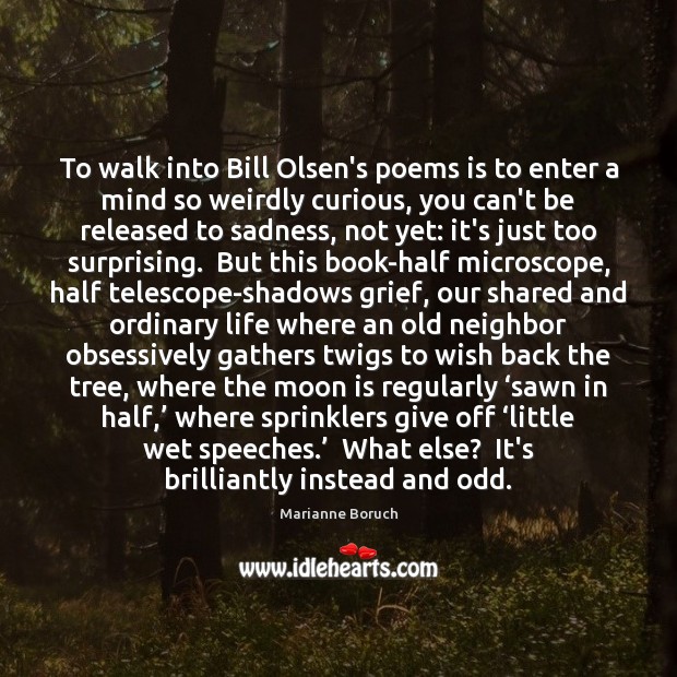 To walk into Bill Olsen’s poems is to enter a mind so Image