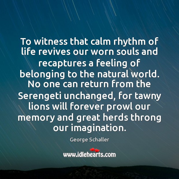 To witness that calm rhythm of life revives our worn souls and Image