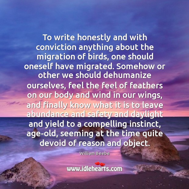 To write honestly and with conviction anything about the migration of birds, William Beebe Picture Quote