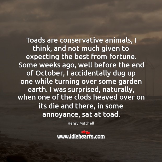 Toads are conservative animals, I think, and not much given to expecting Image