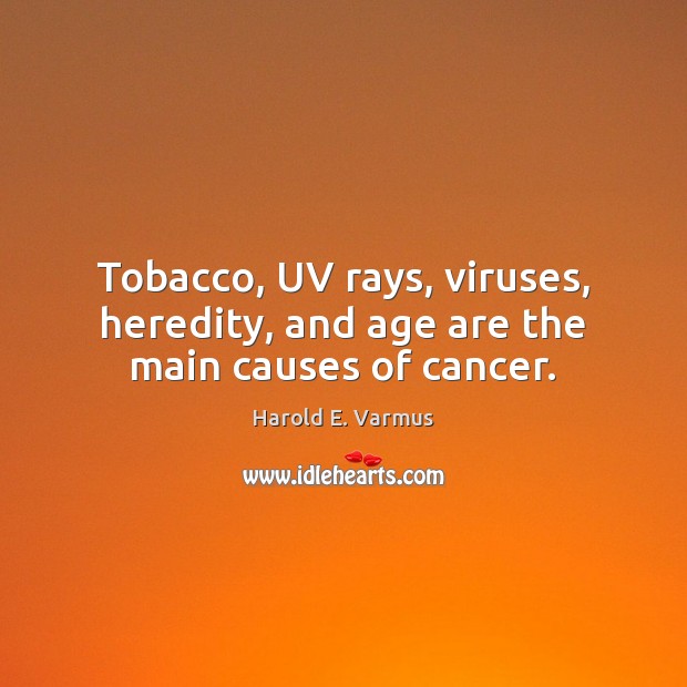 Tobacco, UV rays, viruses, heredity, and age are the main causes of cancer. Harold E. Varmus Picture Quote