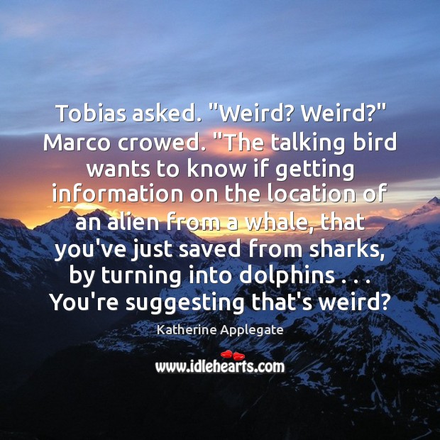Tobias asked. “Weird? Weird?” Marco crowed. “The talking bird wants to know Image