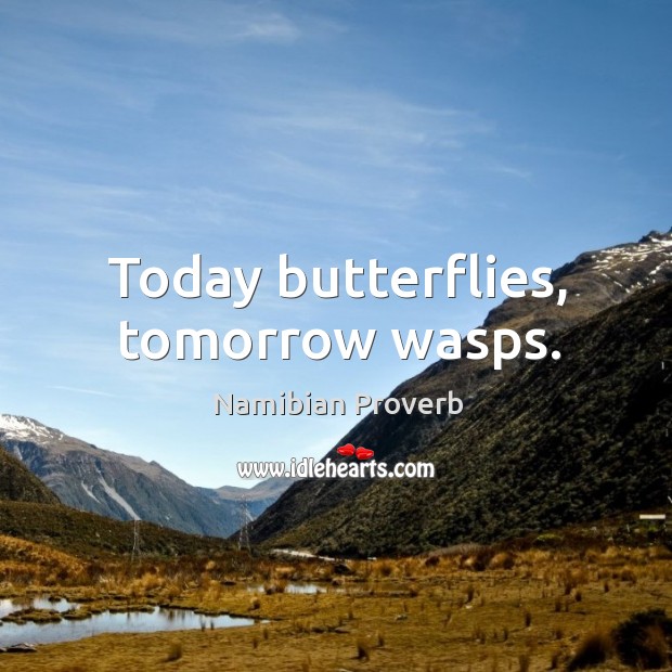 Today butterflies, tomorrow wasps. Namibian Proverbs Image