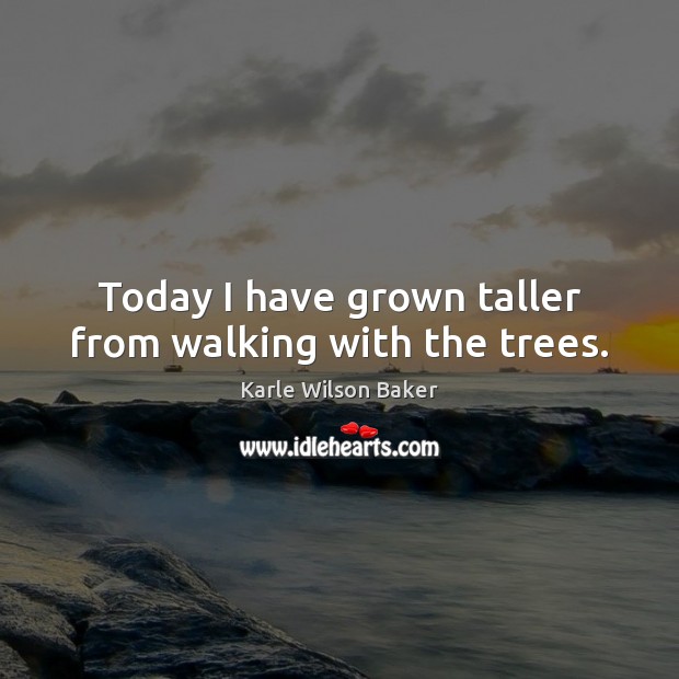 Today I have grown taller from walking with the trees. Karle Wilson Baker Picture Quote
