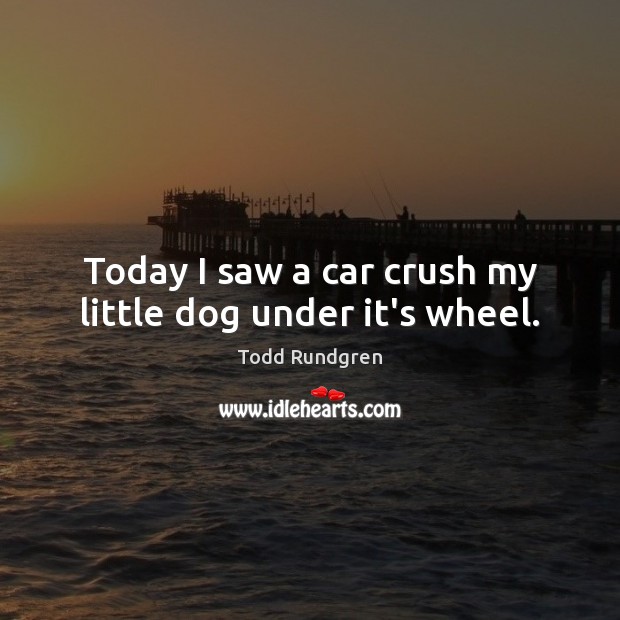 Today I saw a car crush my little dog under it’s wheel. Image