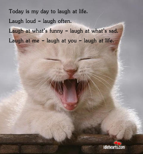 Today is my day to laugh at life. Laugh loud – laugh often Image