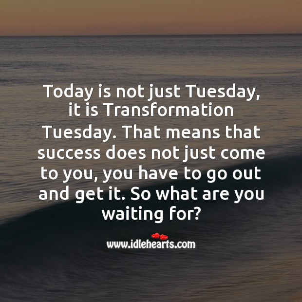 Today is not just Tuesday, it is Transformation Tuesday. Image
