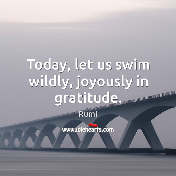 Today, let us swim wildly, joyously in gratitude. Rumi Picture Quote