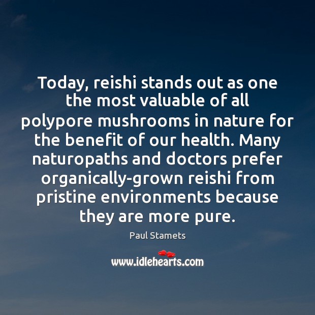 Today, reishi stands out as one the most valuable of all polypore Paul Stamets Picture Quote