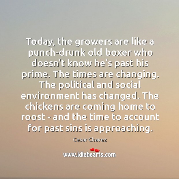 Today, the growers are like a punch-drunk old boxer who doesn’t know Cesar Chavez Picture Quote