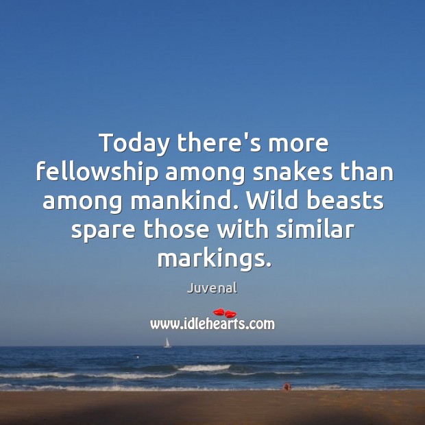 Today there’s more fellowship among snakes than among mankind. Wild beasts spare Image