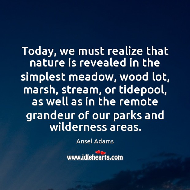 Today, we must realize that nature is revealed in the simplest meadow, Ansel Adams Picture Quote