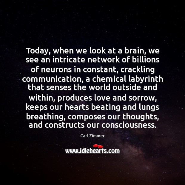 Today, when we look at a brain, we see an intricate network Carl Zimmer Picture Quote