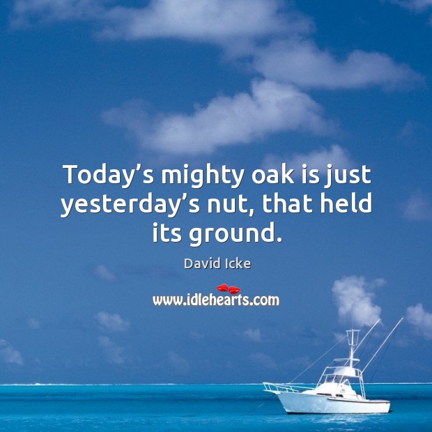 Today’s mighty oak is just yesterday’s nut, that held its ground. David Icke Picture Quote