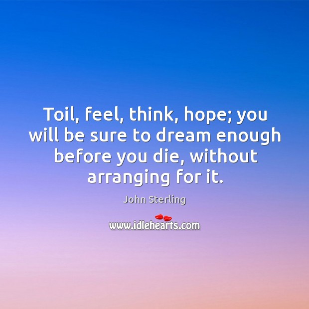 Toil, feel, think, hope; you will be sure to dream enough before you die, without arranging for it. John Sterling Picture Quote