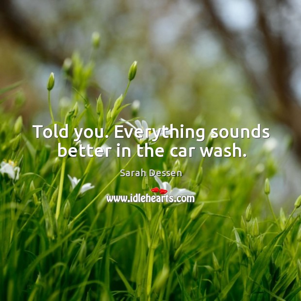 Told you. Everything sounds better in the car wash. Sarah Dessen Picture Quote