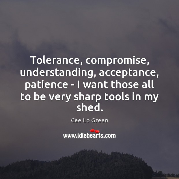 Tolerance, compromise, understanding, acceptance, patience – I want those all to be Understanding Quotes Image