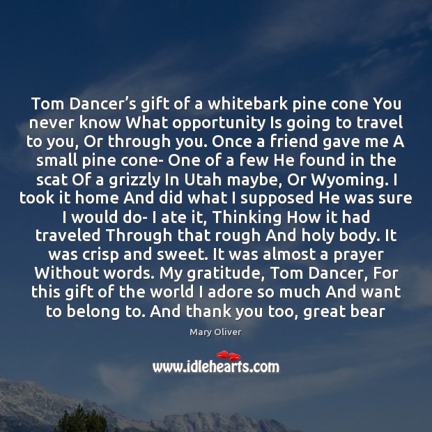 Tom Dancer’s gift of a whitebark pine cone You never know Thank You Quotes Image