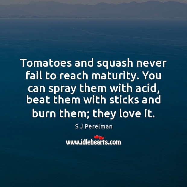 Tomatoes and squash never fail to reach maturity. You can spray them S J Perelman Picture Quote
