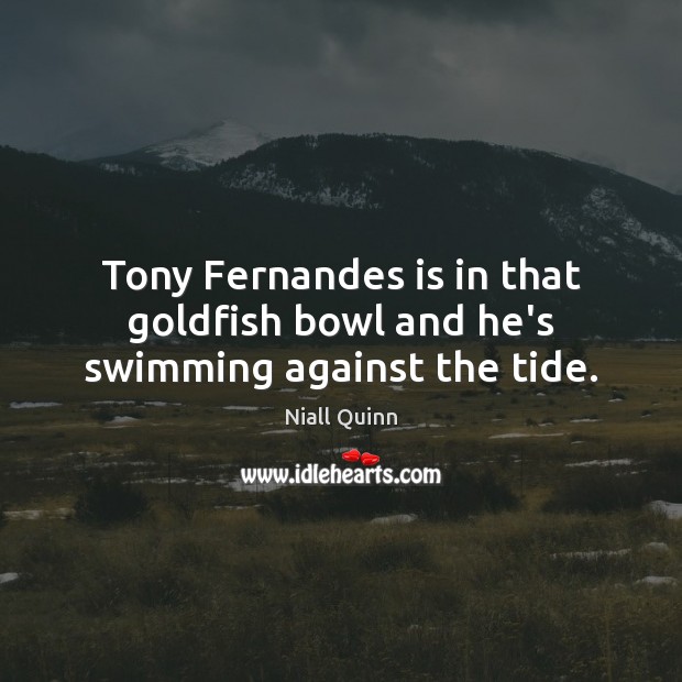 Tony Fernandes is in that goldfish bowl and he’s swimming against the tide. Niall Quinn Picture Quote
