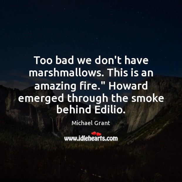 Too bad we don’t have marshmallows. This is an amazing fire.” Howard Michael Grant Picture Quote