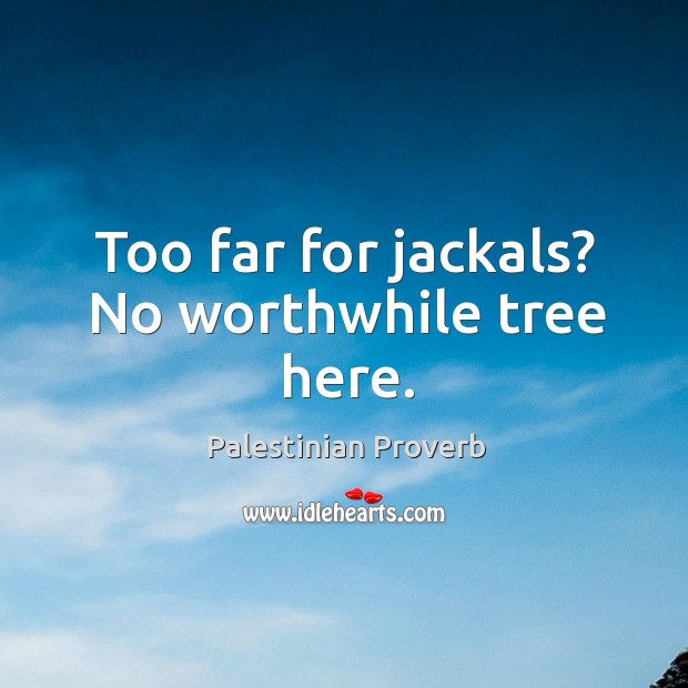 Too far for jackals? no worthwhile tree here. Palestinian Proverbs Image