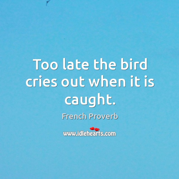 Too late the bird cries out when it is caught. French Proverbs Image