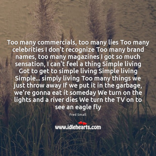 Too many commercials, too many lies Too many celebrities I don’t recognize Image
