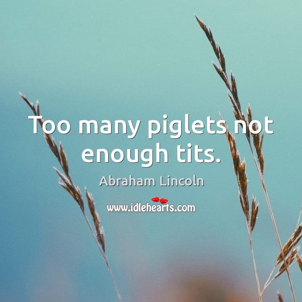 Too many piglets not enough tits. Abraham Lincoln Picture Quote
