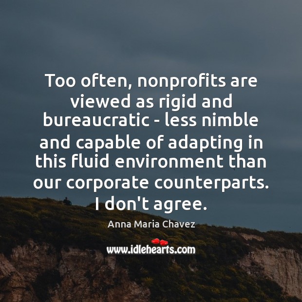 Too often, nonprofits are viewed as rigid and bureaucratic – less nimble Anna Maria Chavez Picture Quote