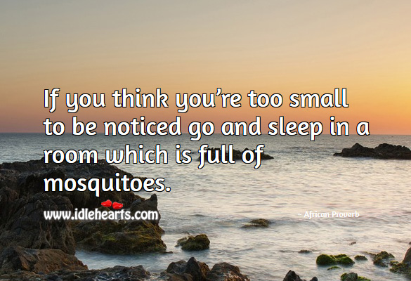 If you think you’re too small to be noticed go and sleep in a room which is full of mosquitoes. African Proverbs Image