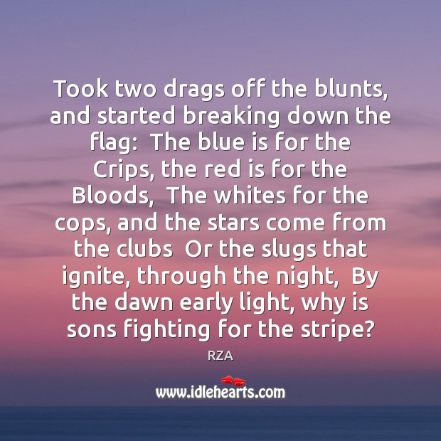 Took two drags off the blunts, and started breaking down the flag: RZA Picture Quote