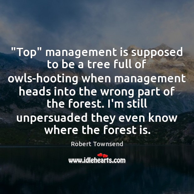 “Top” management is supposed to be a tree full of owls-hooting when Robert Townsend Picture Quote