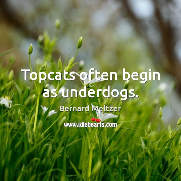 Topcats often begin as underdogs. Bernard Meltzer Picture Quote