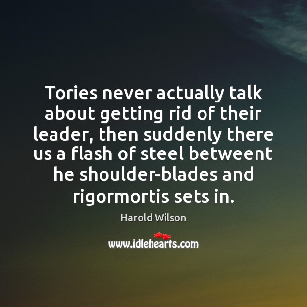 Tories never actually talk about getting rid of their leader, then suddenly Harold Wilson Picture Quote