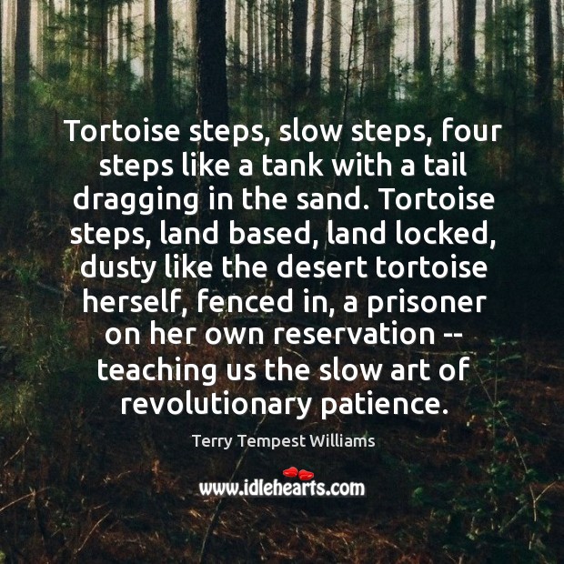 Tortoise steps, slow steps, four steps like a tank with a tail Terry Tempest Williams Picture Quote