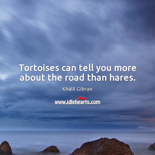 Tortoises can tell you more about the road than hares. Khalil Gibran Picture Quote