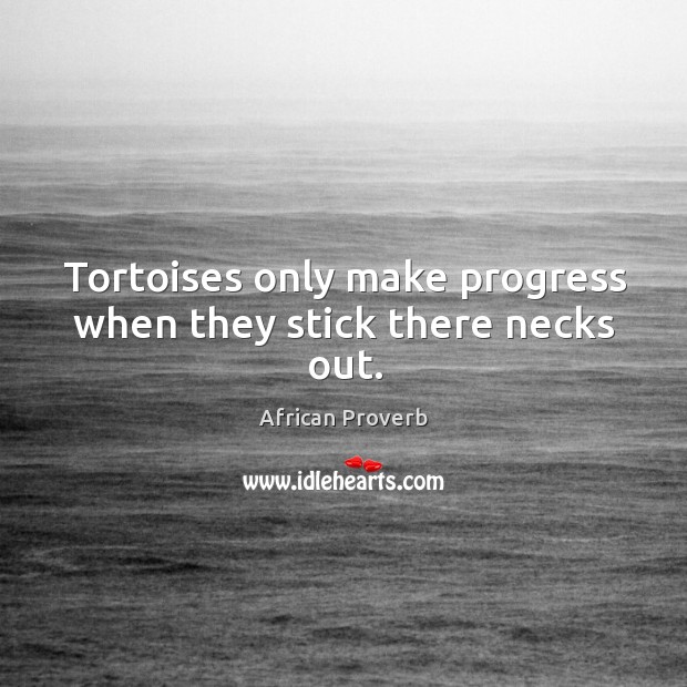 Tortoises only make progress when they stick there necks out. Image