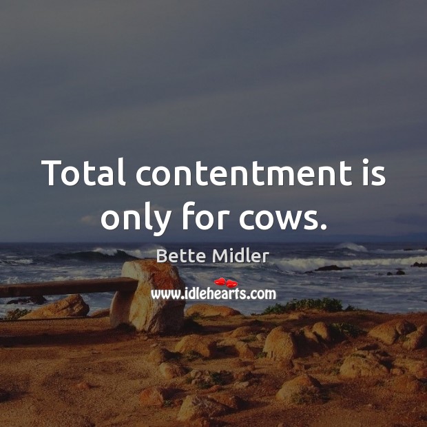 Total contentment is only for cows. Bette Midler Picture Quote