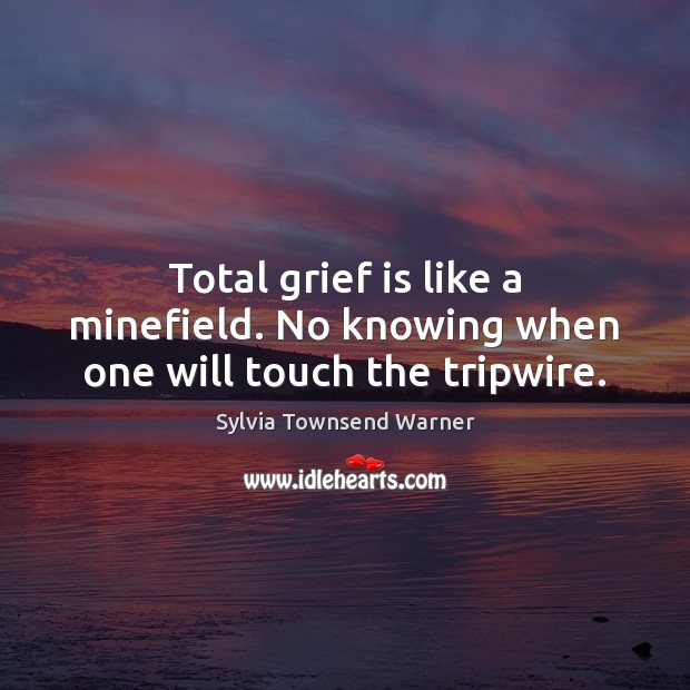 Total grief is like a minefield. No knowing when one will touch the tripwire. Image