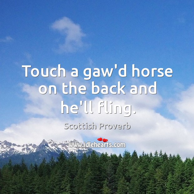 Touch a gaw’d horse on the back and he’ll fling. Scottish Proverbs Image