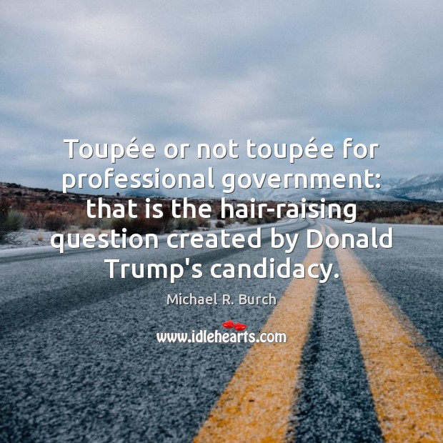 Toupée or not toupée for professional government: that is the 
